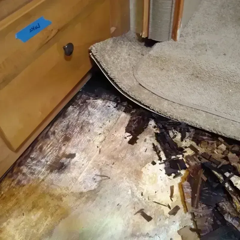 Wood Floor Water Damage in Carville, LA